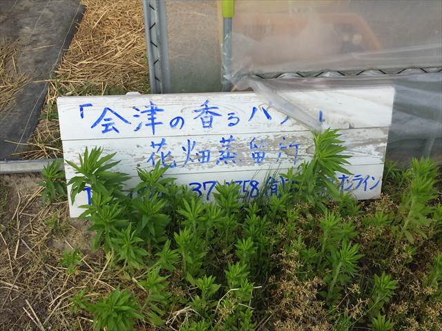organic65-11
