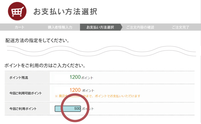 製品を注文カートに入れた後に表示される＜お支払い方法の選択画面＞にて、ご利用のポイント数をご入力ください