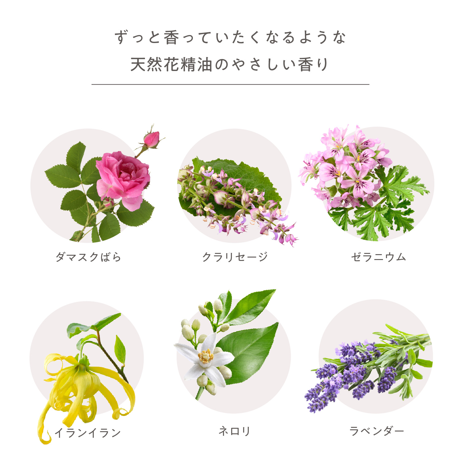 6種類の天然花精油のやさしい香り